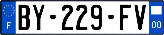 BY-229-FV