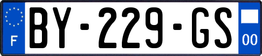 BY-229-GS