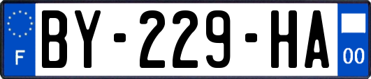 BY-229-HA