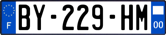 BY-229-HM