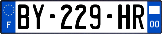BY-229-HR