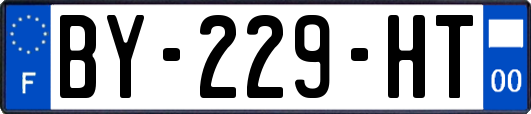 BY-229-HT