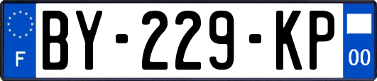 BY-229-KP