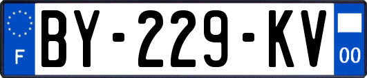 BY-229-KV
