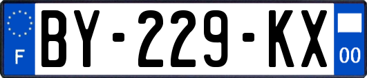 BY-229-KX