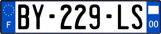 BY-229-LS