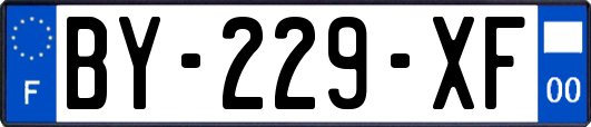 BY-229-XF