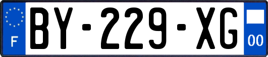 BY-229-XG