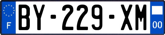 BY-229-XM