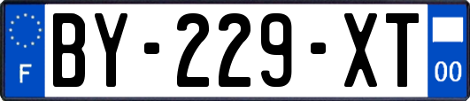 BY-229-XT