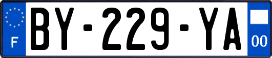 BY-229-YA