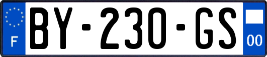 BY-230-GS