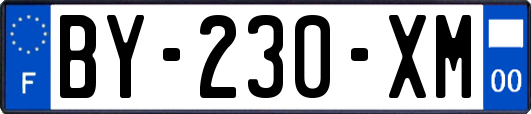 BY-230-XM