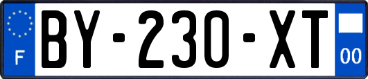 BY-230-XT