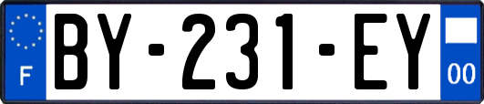 BY-231-EY