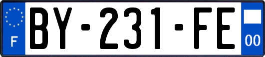 BY-231-FE