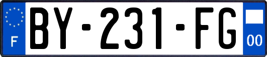 BY-231-FG