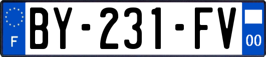BY-231-FV