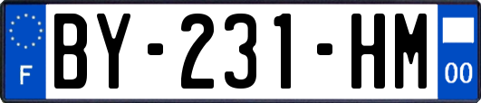 BY-231-HM