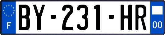 BY-231-HR