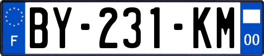 BY-231-KM