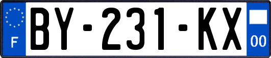 BY-231-KX