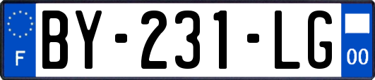 BY-231-LG