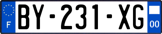 BY-231-XG