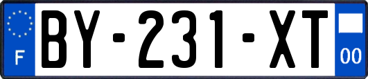 BY-231-XT