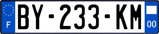 BY-233-KM