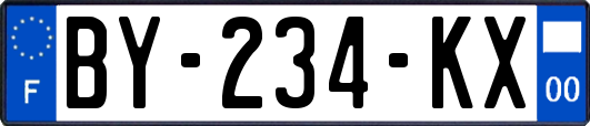BY-234-KX