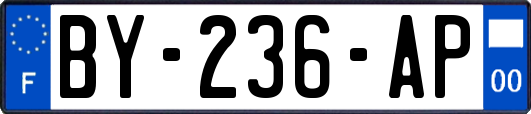 BY-236-AP