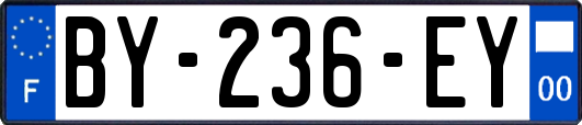 BY-236-EY