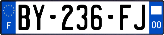 BY-236-FJ