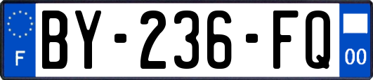BY-236-FQ