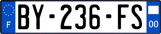 BY-236-FS