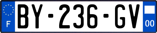 BY-236-GV
