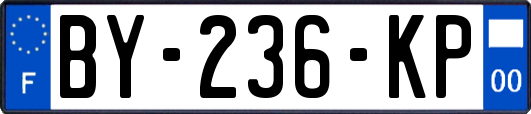 BY-236-KP