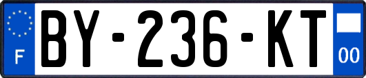 BY-236-KT