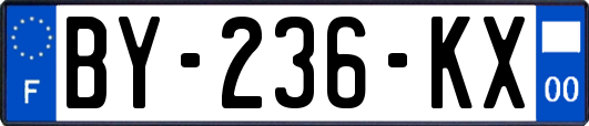 BY-236-KX