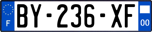 BY-236-XF