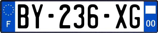 BY-236-XG