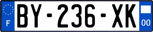 BY-236-XK