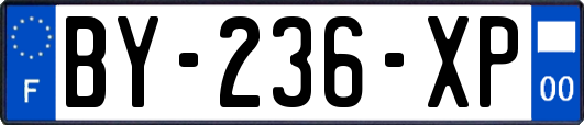 BY-236-XP