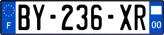 BY-236-XR