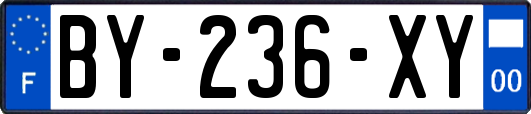 BY-236-XY