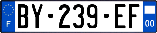 BY-239-EF