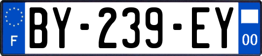 BY-239-EY