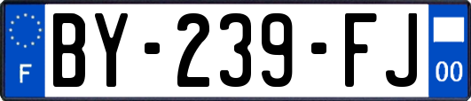 BY-239-FJ