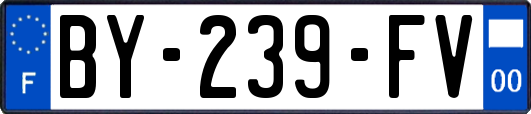 BY-239-FV